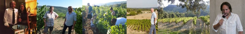 Vinipartner-1024×142