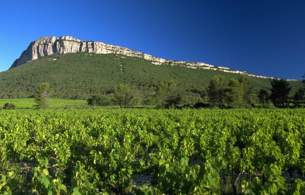 coteaux-du-languedoc-1024×653