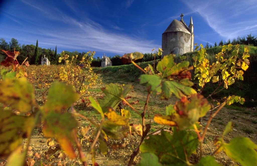 coteaux-du-languedoc-gignac-1024×664